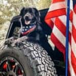 Hollywood chrysler Jeep National Dog Day