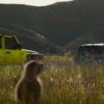 Hollywood Chrysler Jeep Super Bowl Electric Boogie