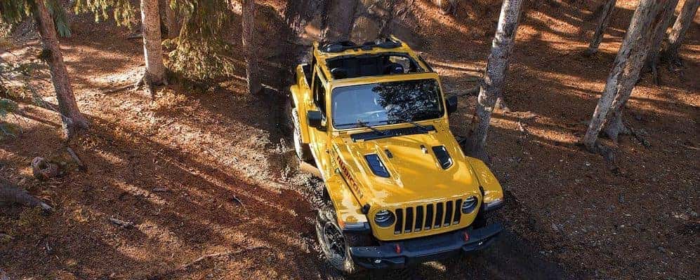 2019 Jeep Wrangler Interior Features Space Jack Powell Cdjr