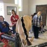 Disabled Man Pets Horse