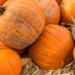 Pumpkins On Display at Market