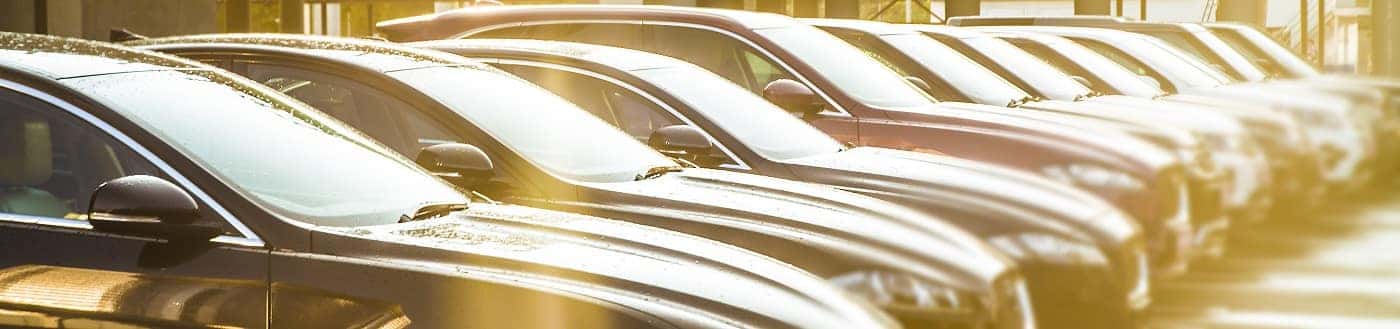 Used Car Dealership