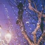 City lights at Night