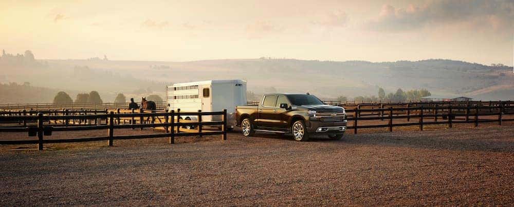 2019 Brown Chevy Silverado 1500 High Country Towing a Horse Trailer