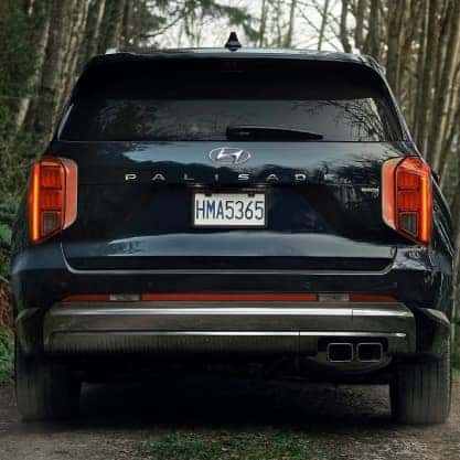 Wide skid plate
