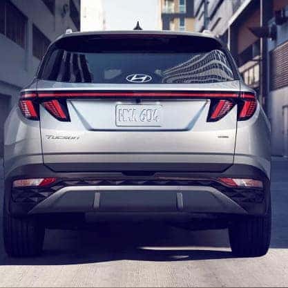 Distinctive rear lighting