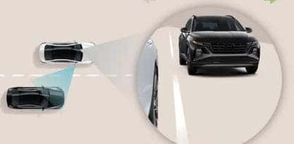 Blind-Spot View Monitor