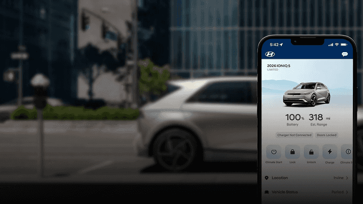 Bluelink+ features