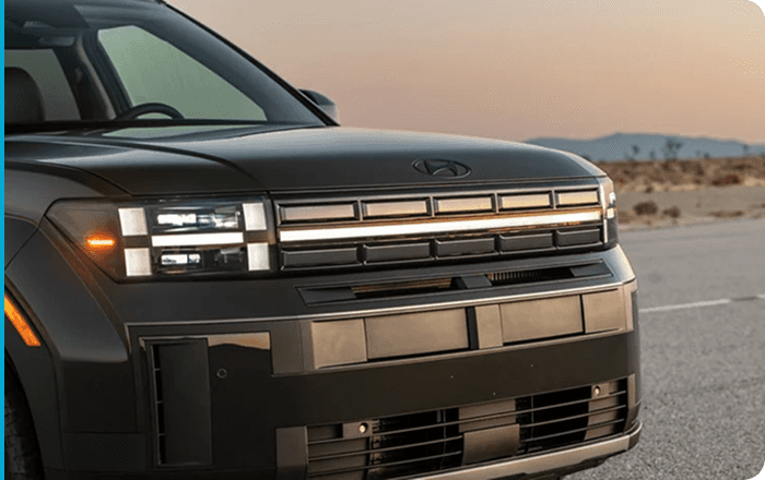 Black chrome front grille