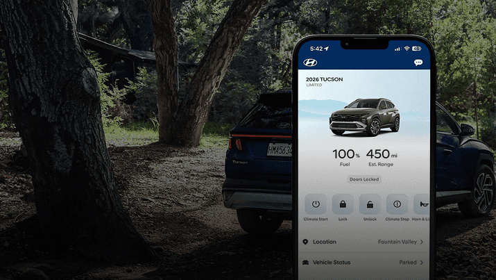 Bluelink+ connected car service