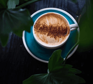 Metropolis Coffee Company 