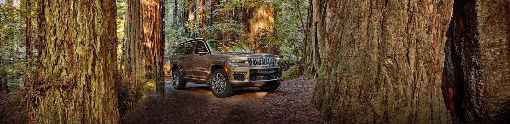 Jeep Grand Cherokee L Driving Thru Forest