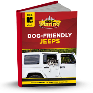 Dog Friendly Jeeps