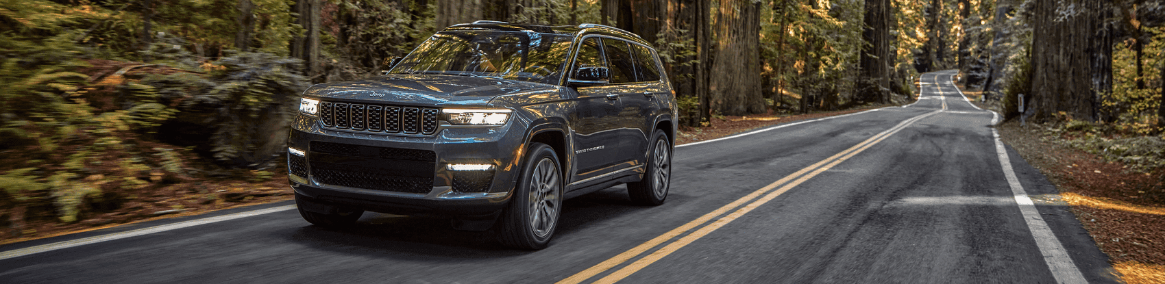 Jeep Grand Cherokee L Schaumburg IL