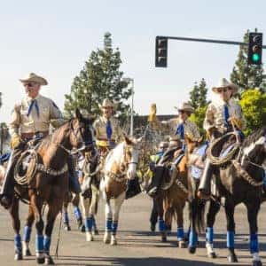 Horse ride