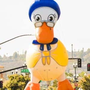 Goose