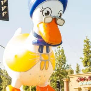 Goose 2