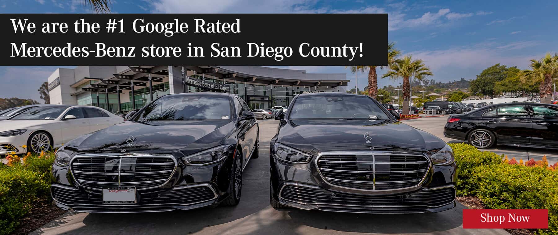 We are the #1 Google Rated Mercedes-Benz store in San Diego County!