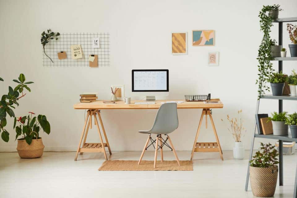 Comfortable workplace with potted plants and a modern wood desk.