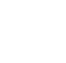 icon lease