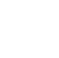 icon service
