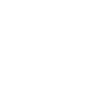 icon used