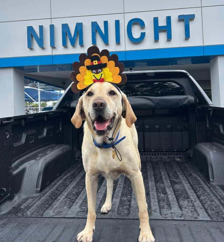 Nimnicht Buick GMC