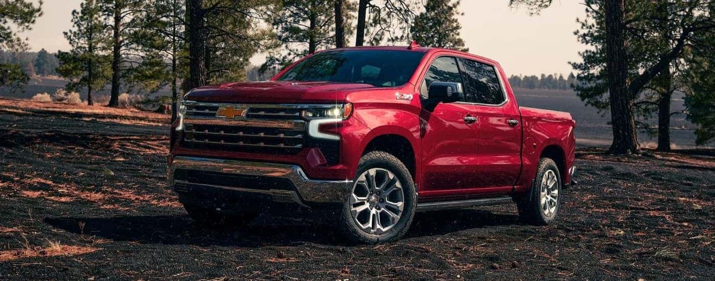 A red 2024 Chevy Silverado 1500 Z71 parked in a forest.