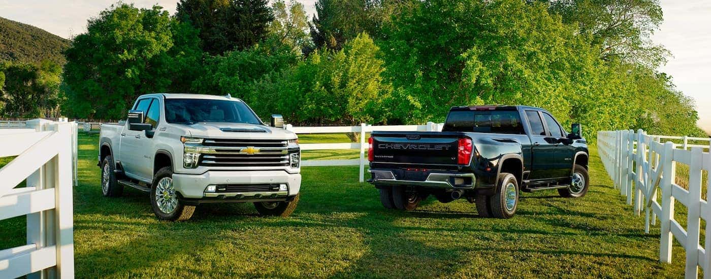 Two 2020 Chevy Silverado HD parked side by side on a lawn