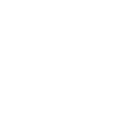 car award icon