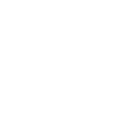multiple car icon