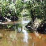 Aldermans Ford Park