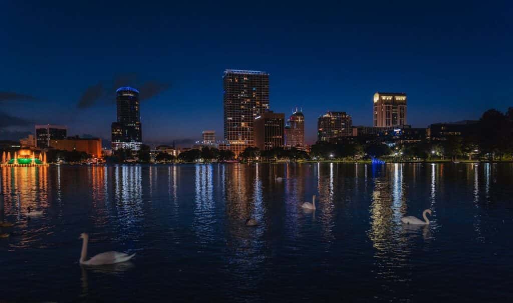 swans swiming in lake eola park after sunset