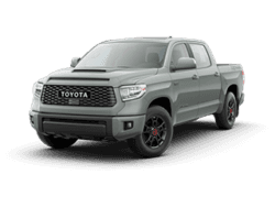 Tundra