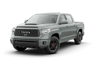 Tundra