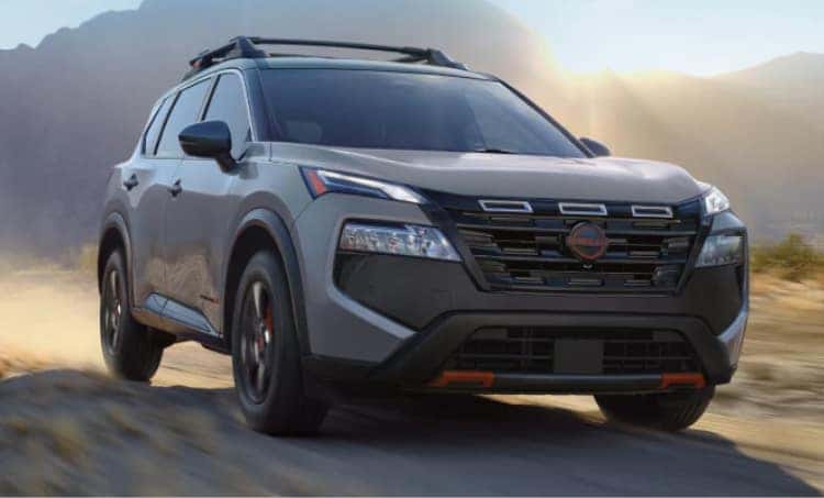 Gray SUV Desert