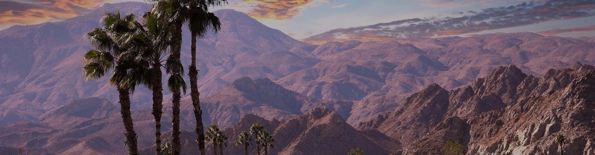About Us Toyota Of The Desert