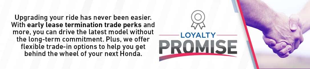 Loyalty Promise