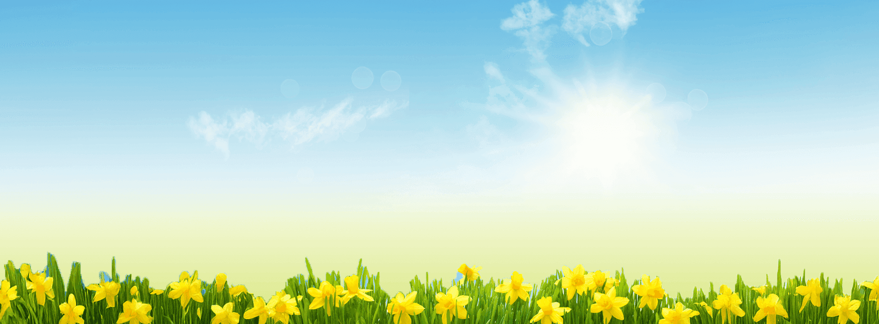 Spring template