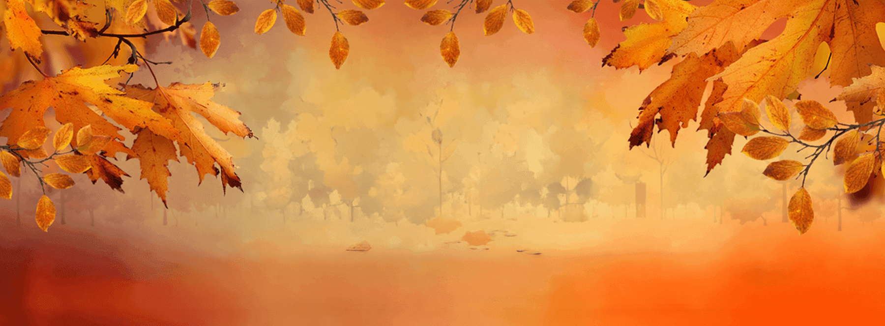 MSVLHDA0826_Blank_SL_1800x663