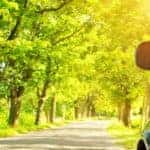Black Car Driving Down a Sunlit Road Lined With Trees