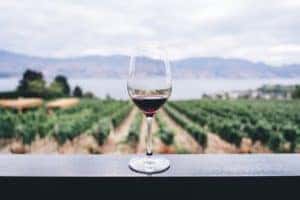 wine glass about a quarter full of red wine sitting on a ledge in front of a wine vineyard