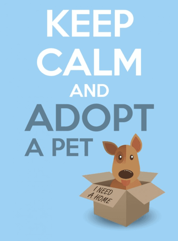 pet adoption