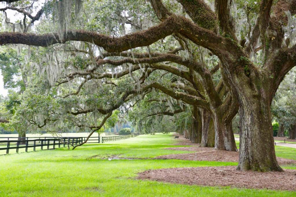 tour plantation virginia