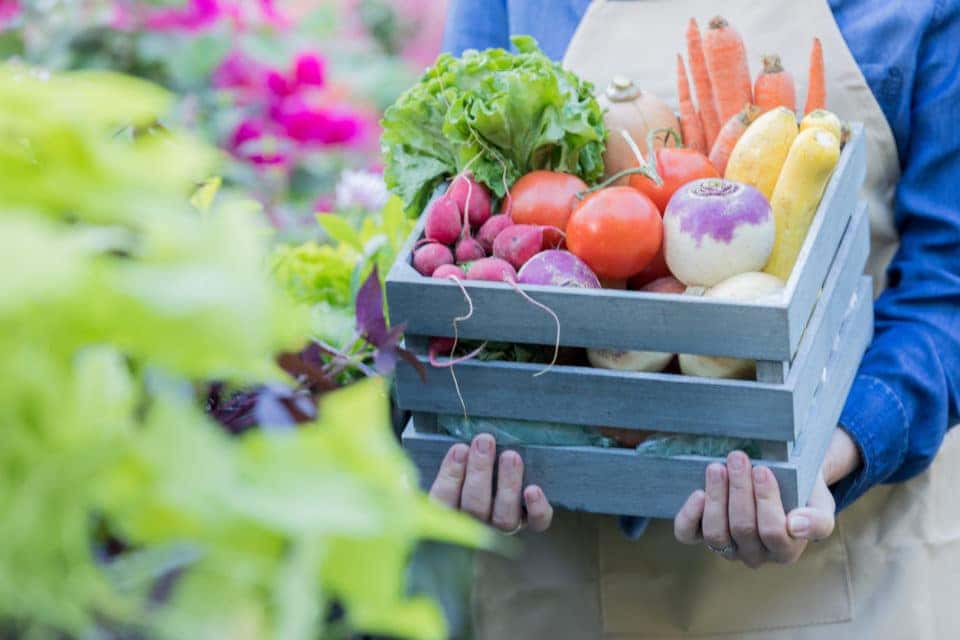 Farmers Market Produce