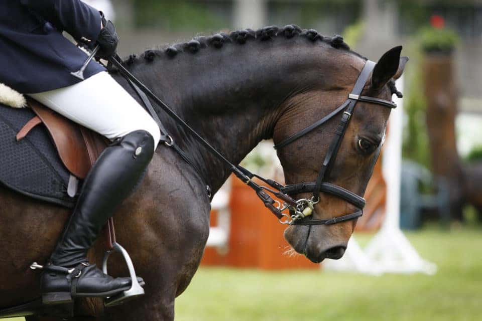 Warrenton Horse Show