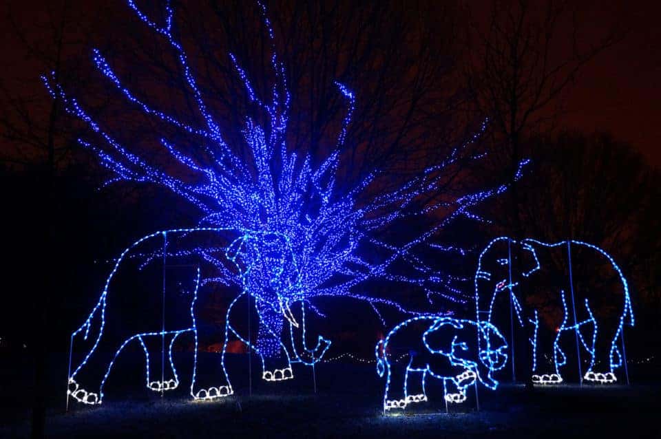 See The Lights At ZooLights At The Smithsonian National Zoo Warrenton